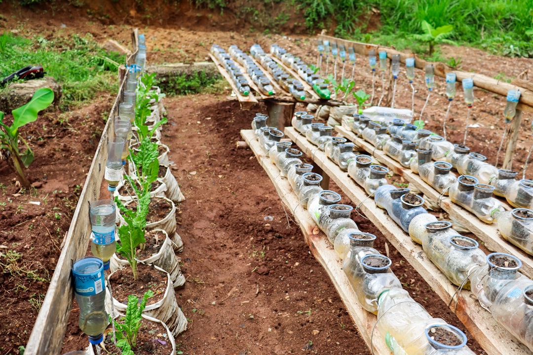 Photo Nasal irrigation