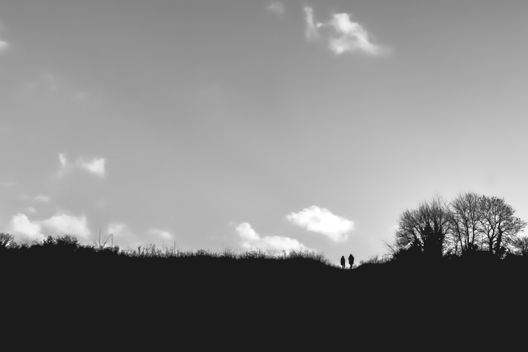 Photo dream interpretation