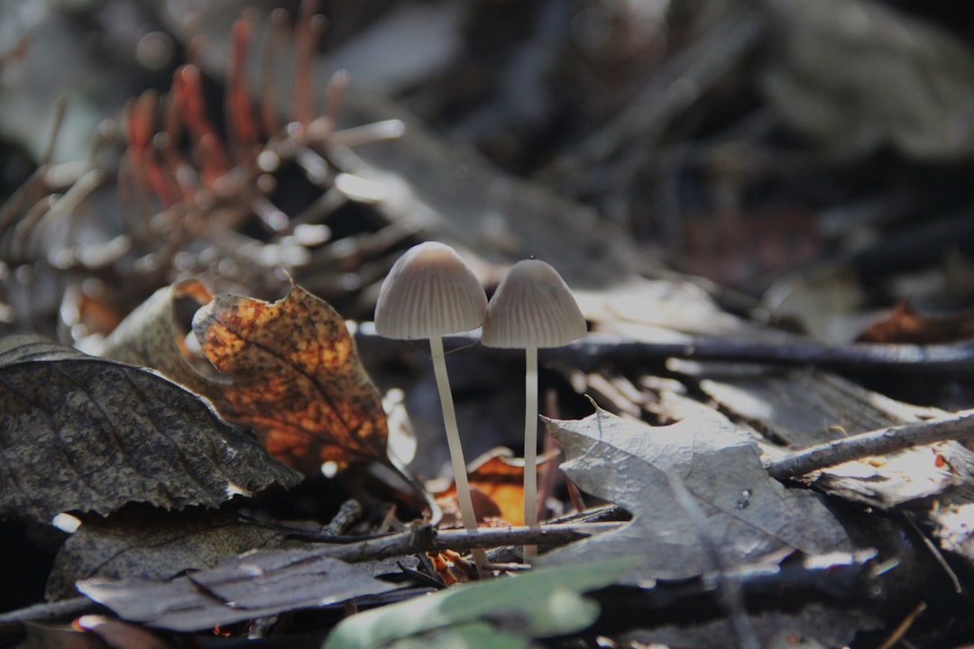 De ce schimbările mici sunt mai eficiente decât transformările radicale