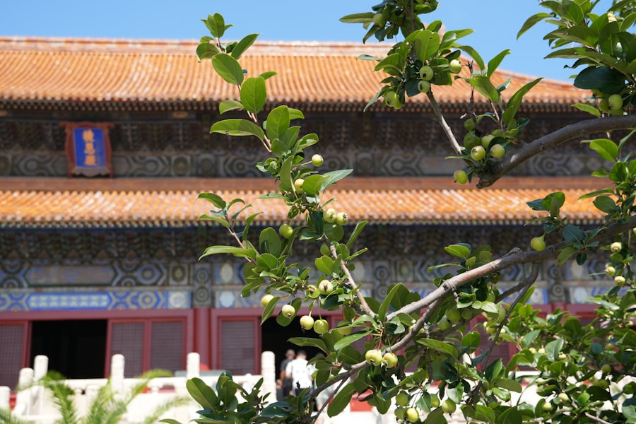 Photo traditional architecture