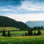 Photo successful Romanian personalities worldwide